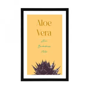 Plagát s paspartou a štýlovým nápisom Aloe Vera