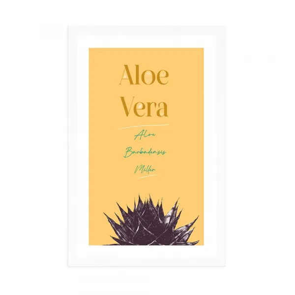 Plagát s paspartou a štýlovým nápisom Aloe Vera