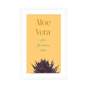 Plagát s paspartou a štýlovým nápisom Aloe Vera