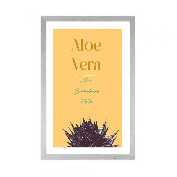 Plagát s paspartou a štýlovým nápisom Aloe Vera