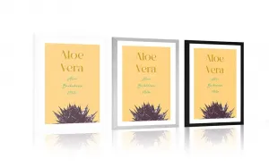 Plagát s paspartou a štýlovým nápisom Aloe Vera