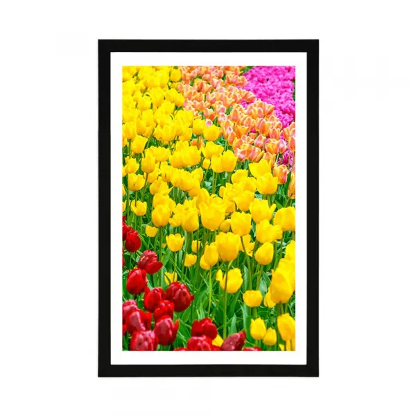 Plagát s paspartou záhrada plná tulipánov