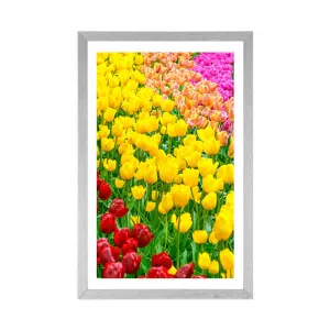 Plagát s paspartou záhrada plná tulipánov