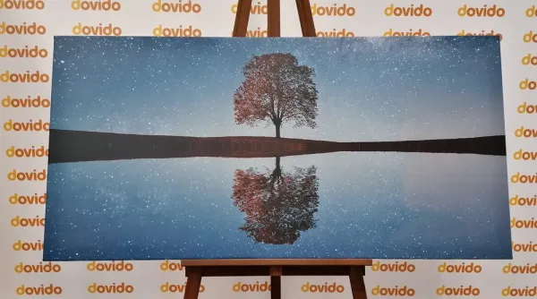 Obraz hviezdna obloha nad osamelým stromom
