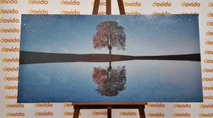 Obraz hviezdna obloha nad osamelým stromom