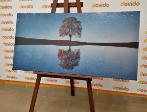 Obraz hviezdna obloha nad osamelým stromom