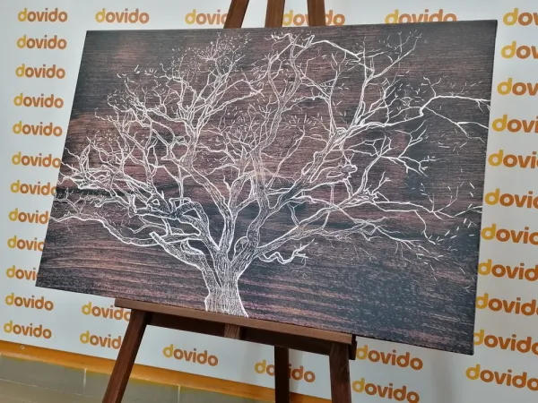 Obraz koruna stromu na drevenom podklade