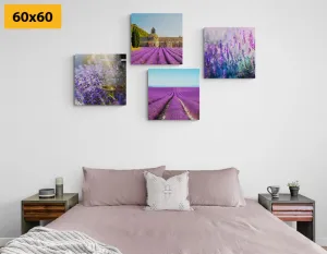 Set obrazov pre milovníkov levandule