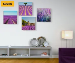 Set obrazov levanduľové pole