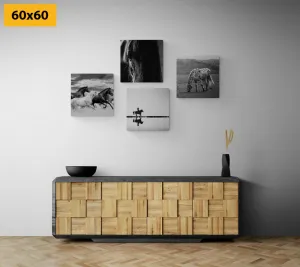 Set obrazov pre milovníkov koní v čiernobielom prevedení