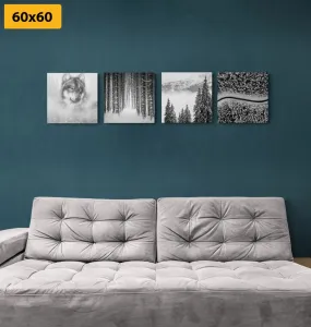 Set obrazov vlk v tajomnom lese v čiernobielom prevedení