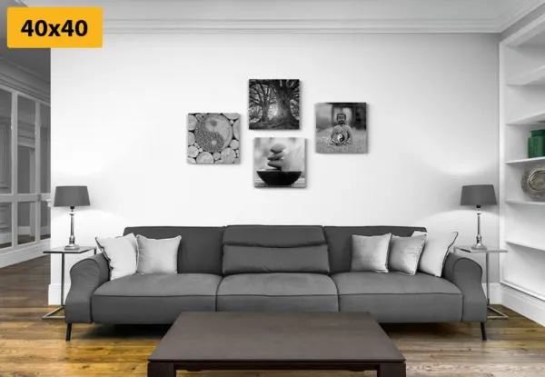 Set obrazov v čiernobielom štýle Feng Shui