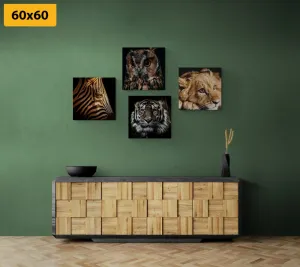 Set obrazov divoké zvieratá
