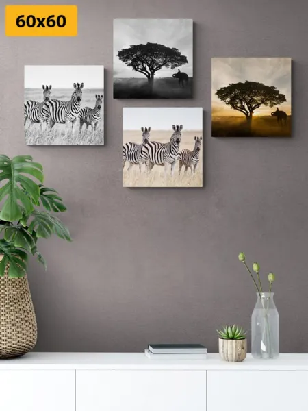 Set obrazov zvieratá žijúce na Savane