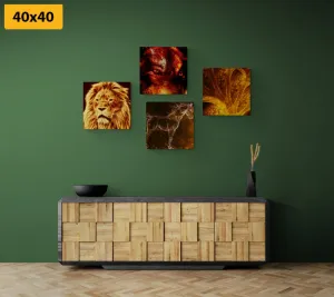 Set obrazov abstraktné zvieratá