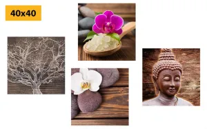 Set obrazov Feng Shui v prírodnom prevedení
