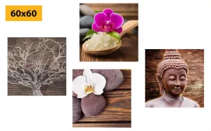 Set obrazov Feng Shui v prírodnom prevedení