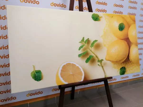 Obraz citróny s mätou
