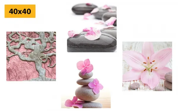 Set obrazov Feng Shui v jemnom prevedení