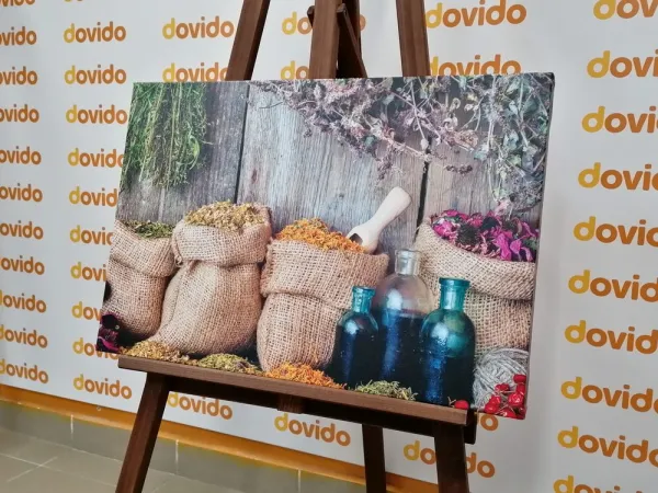 Obraz liečivé bylinky