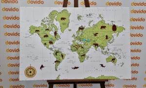 Obraz mapa so zvieratami
