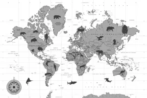 Obraz na korku mapa so zvieratami v čiernobielom prevedení