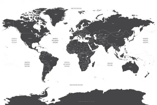 Obraz mapa sveta s jednotlivými štátmi v sivej farbe