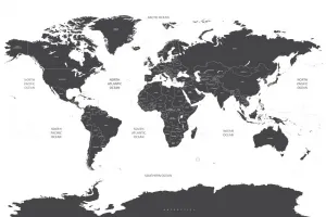 Obraz mapa sveta s jednotlivými štátmi v sivej farbe