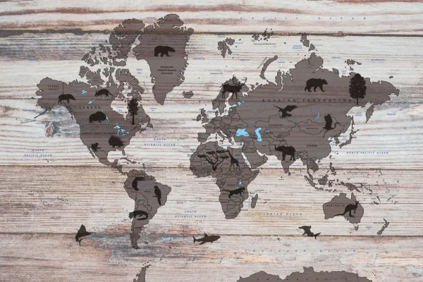 Obraz mapa na drevenom podklade