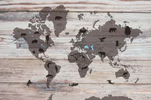 Obraz mapa na drevenom podklade