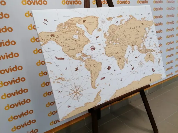 Obraz na korku  béžová mapa