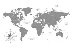 Obraz decentná mapa v šedom prevedení