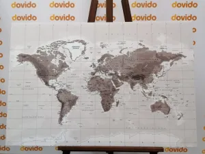 Obraz nádherná čiernobiela mapa sveta