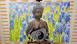 Obraz jin a jang Budha