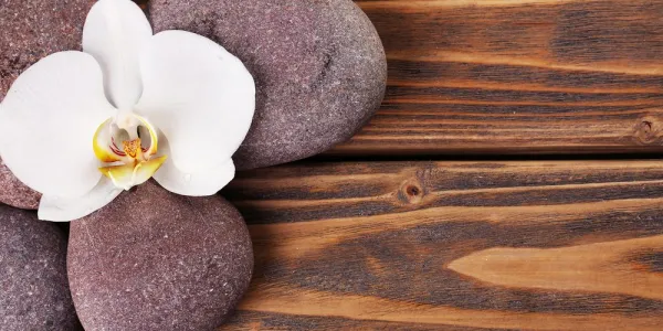 Obraz wellness kamene a orchidea na drevenom pozadí