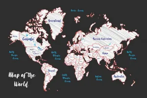 Obraz jedinečná mapa sveta
