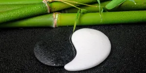 Obraz symbol Jin a Jang