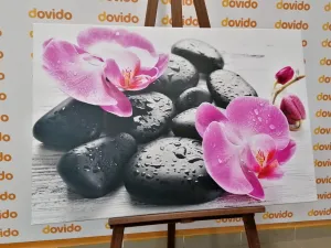 Obraz krásna súhra kameňov a orchidey