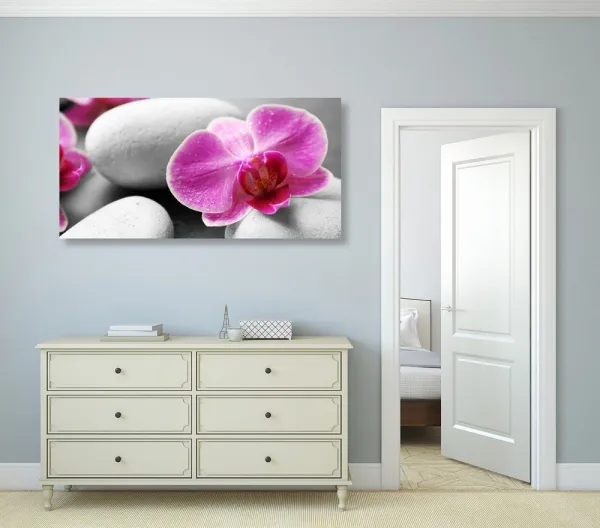 Obraz kvety orchidey na bielych kameňoch