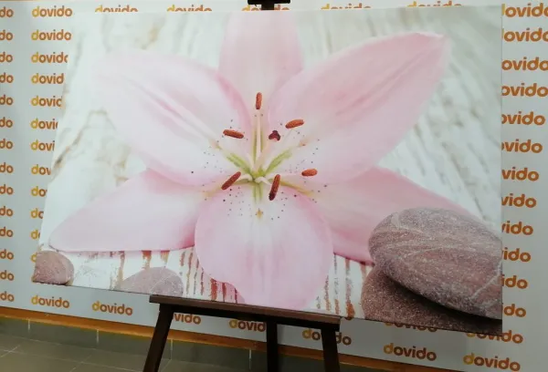 Obraz ružová ľalia a Zen kamene