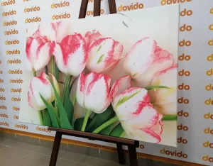 Obraz jarné tulipány