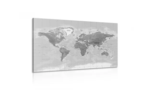 Obraz nádherná čiernobiela mapa sveta
