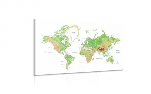 Obraz klasická mapa sveta s bielym pozadím