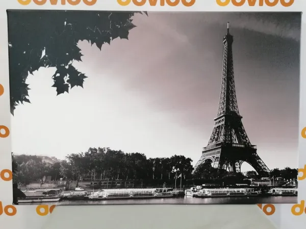 Obraz jesenný Paríž v čiernobielom prevedení