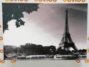 Obraz jesenný Paríž v čiernobielom prevedení