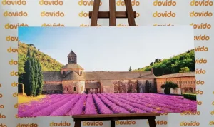 Obraz Provensálsko s levanduľovými poľami