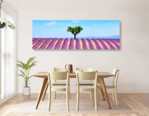 Obraz provensálske levanduľové pole