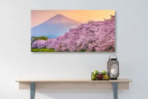 Obraz nádherné Japonsko