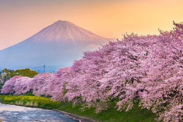 Obraz japonská sopka Fuji
