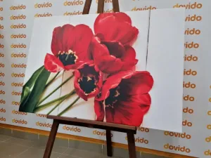 Obraz rozkvitnuté červené tulipány